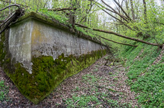 Fort VII Prałkowce