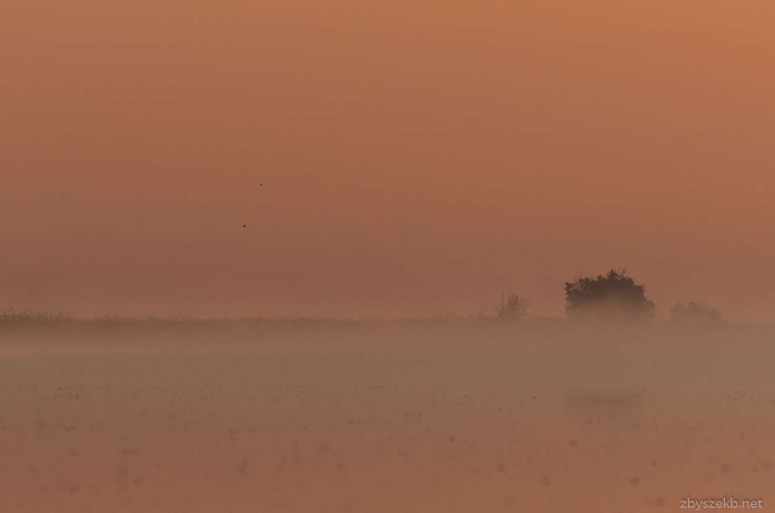 Wschód słońca - Delta Dunaju